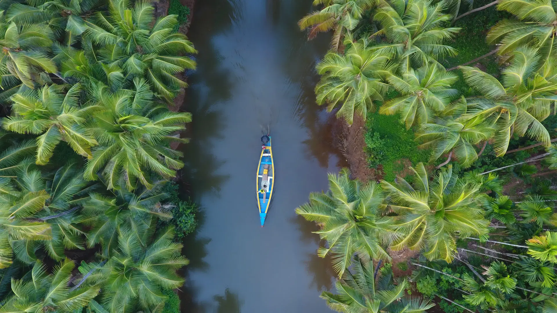 Kerala God's Own Country (Munnar, Thekkady, Alleppey Houseboat)
