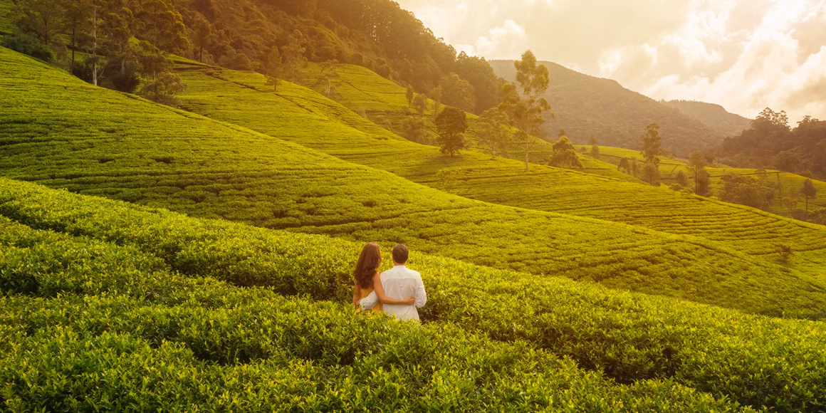 Kovalam Beach, Varkala Cliff & Poovar Island Getaway